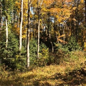 Custom listing for Rebecca